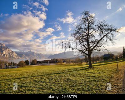 Abendstimmung am Traunsee in Altmünster Stockfoto