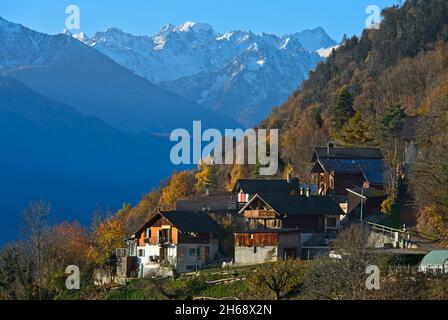 Weiler Les Places im bunten Herbstwald auf der Walliser Sonnenterrasse, Les Places, Leytron, Wallis, Schweiz Stockfoto