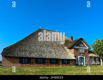 Bauernhof Typ Haubarg, Haubarg Knutzenswarft, Westerhever, Halbinsel Eiderstedt, Schleswig-Holstein, Deutschland Stockfoto