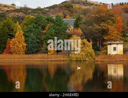 Duddingston Loch Edinburgh, Schottland, Großbritannien. November 2021. Bewölkt bei 7 Grad Reflexionen auf dem loch. Mit Duddingston Kirk im Mittelfeld und Arthur's Seat dahinter befindet sich rechts der Thomson's Tower, ein einzigartiges achteckiges Gebäude am Ufer des Duddingston Loch, das von William Henry Playfair (1789-1857) entworfen wurde. Der berühmte Architekt von Edinburgh, der von der Duddingston Curling Society erbaut wurde, deren Mitglieder zuerst die Regeln des Curlings aufschrieben, was zur Standardisierung des Spiels im ganzen Land führte. Quelle: Arch White/Alamy Live News Stockfoto