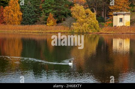 Duddingston Loch Edinburgh, Schottland, Großbritannien. November 2021. Bewölkt bei 7 Grad Reflexionen auf dem loch. Mit Duddingston Kirk im Mittelfeld und Arthur's Seat dahinter befindet sich rechts der Thomson's Tower, ein einzigartiges achteckiges Gebäude am Ufer des Duddingston Loch, das von William Henry Playfair (1789-1857) entworfen wurde. Der berühmte Architekt von Edinburgh, der von der Duddingston Curling Society erbaut wurde, deren Mitglieder zuerst die Regeln des Curlings aufschrieben, was zur Standardisierung des Spiels im ganzen Land führte. Quelle: Arch White/Alamy Live News Stockfoto