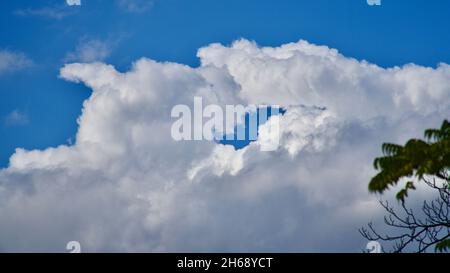 Herbstwolken am blauen Himmel. Eine Wolke, die einer Katze ähnelt, die ihre Pfote leckt. Stockfoto