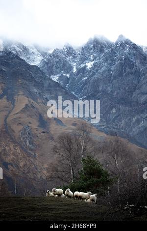 Kazbegi mountains Stockfoto