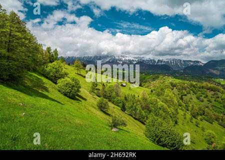 Malerische Frühlingslandschaft mit grünen Feldern auf den Hügeln und verschneiten Piatra Craiului Bergen im Hintergrund, Pestera Dorf, Transylvan Stockfoto