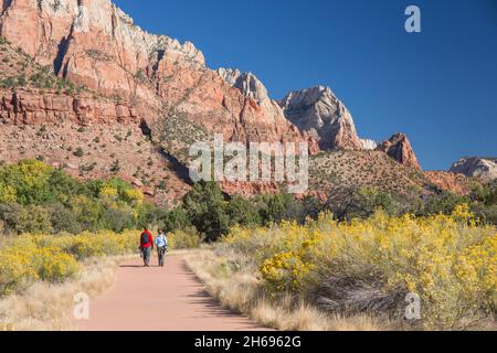 Zion National Park, Utah, USA. Zwei Fotografen, die im Herbst auf dem Pa'rus Trail nach Norden in Richtung Sentinel und Jacob Peak fahren. Stockfoto