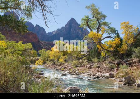 Zion National Park, Utah, USA. Blick vom Pa'rus Trail über die mit Felsbrocken übersäten Gewässer des Virgin River zum Watchman, Herbst. Stockfoto