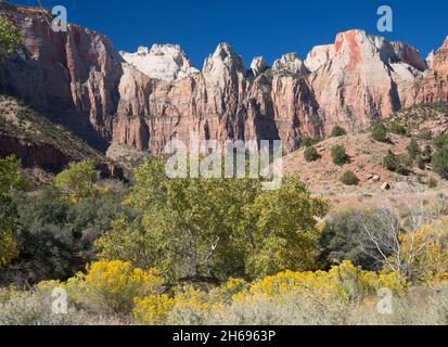 Zion National Park, Utah, USA. Blick auf die Türme der Jungfrau vom Pa'rus Trail, Herbst, der Hexenkopf und der Opferaltar sind prominent. Stockfoto