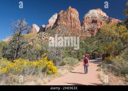 Zion National Park, Utah, USA. Ein einstehender Wanderer nähert sich der Fußgängerbrücke auf dem Pa'rus Trail, dem Herbst, dem Mount Spry und dem East Temple, der sich über dem Berg erhebt. Stockfoto