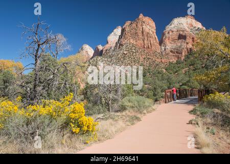 Zion National Park, Utah, USA. Blick auf den Pa'rus Trail zum Mount Spry und dem East Temple, Herbst, Besucher auf einer Fußgängerbrücke über den Virgin River. Stockfoto