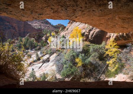 Zion National Park, Utah, USA. Blick auf den felsigen Hang über Pine Creek von der Aussparung unter dem Felsüberhang des Canyon Overlook Trail, Herbst. Stockfoto