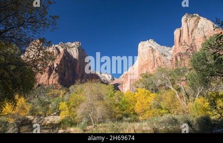 Zion National Park, Utah, USA. Blick über das bewaldete Tal auf die Sentinel und die Abraham- und Isaac-Gipfel im Hof der Patriarchen, Herbst. Stockfoto