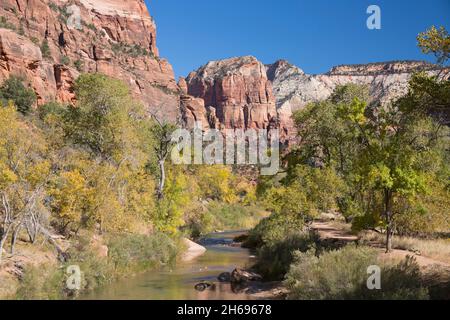 Zion National Park, Utah, USA. Blick vom Emerald Pools Trail entlang des Virgin River auf die schiere Südwand von Angels Landing im Herbst. Stockfoto