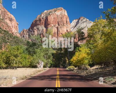 Zion National Park, Utah, USA. Blick auf den Zion Canyon Scenic Drive zur schieren Südwand von Angels Landing, Herbst, Mount Baldy dahinter. Stockfoto