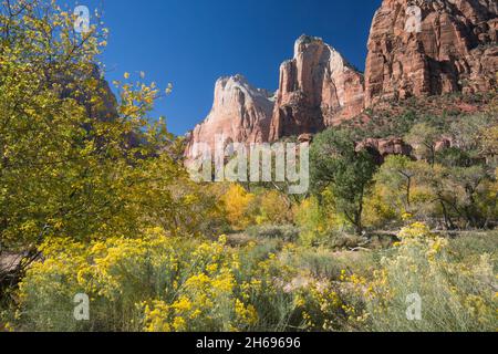 Zion National Park, Utah, USA. Blick über die farbenfrohe Wüstenpinsel zu den Abraham- und Isaac-Gipfeln im Court of the Patriarchs, Herbst. Stockfoto