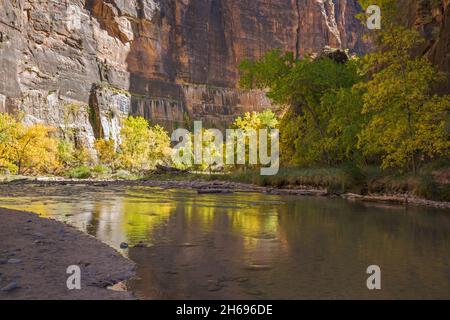 Zion National Park, Utah, USA. Blick auf den ruhigen Virgin River zu den hoch aufragenden Sandsteinklippen des Tempels von Sinawava im Herbst. Stockfoto