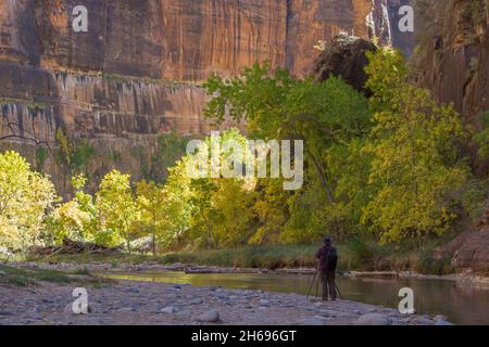 Zion National Park, Utah, USA. Fotografin fotografiert am steinigen Strand am ruhigen Fluss Virgin im Tempel von Sinawava, Herbst. Stockfoto