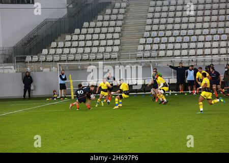 BUKAREST, RUMÄNIEN - 13. November 2021: Das Rugby-Spiel Rumänien gegen die Niederlande ist Teil der Rugby-Europameisterschaft. Stockfoto