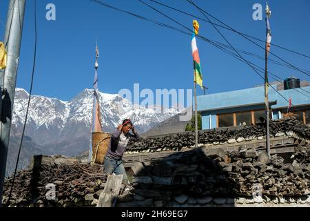 Thini, Nepal - November 2021: Ein Mann, der am 2. November 2021 in Thini, Nepal, Äpfel im Dorf Thini in Lower Mustang trägt Stockfoto