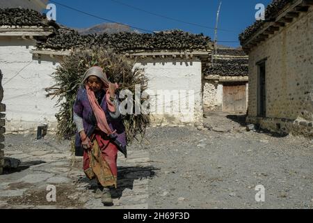 Thini, Nepal - 2021. November: Eine Frau, die am 2. November 2021 im Thini-Dorf in Lower Mustang Gras trägt, in Thini, Nepal Stockfoto