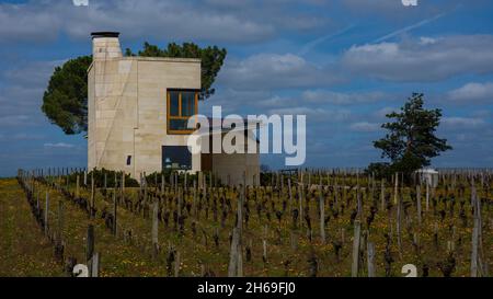 Château Le Pin mit der Kiefer im Hintergrund und Weinbergen im Vordergrund 1 Stockfoto