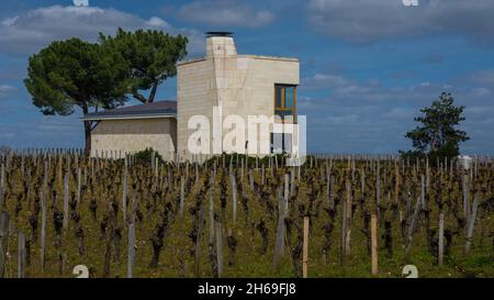 Château Le Pin mit der Kiefer im Hintergrund und Weinbergen im Vordergrund 2 Stockfoto