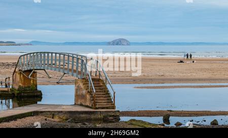 Belhaven Bay, East Lothian, Schottland, Großbritannien, 14. November 2021. UK Wetter: Ruhiger Tag. Ein Seegangler am Strand bei Ebbe Stockfoto