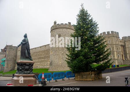 Windsor, Großbritannien. 14. November 2021. Ihre Majestät, die Königin, war heute im Schloss Windsor ansässig und nahm wegen einer Rückenbelastung nicht am Gottesdienst im Cenotaph in London Teil. Quelle: Maureen McLean/Alamy Live News Stockfoto