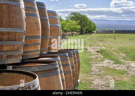 Hölzerne Weinfässer. Weinkeller. Weingut en Cordoba, Argentinien. Außen, horizontal Stockfoto