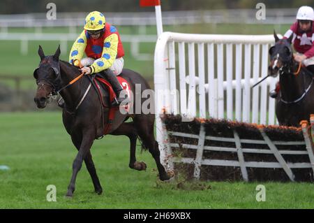 Conor Maxwell kommt nach Hause, um die Handicap-Hürde der Pertemps Network Group auf der Pferderennbahn Punchestown in der Grafschaft Kildare, Irland, zu gewinnen. Bilddatum: Sonntag, 14. November 2021. Stockfoto