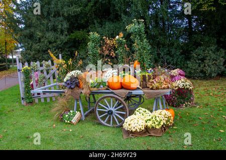Straßburg, Frankreich, 31. Oktober 2021, Karren mit Blumen und Herbstfrüchten im Park der Orangerie Stockfoto