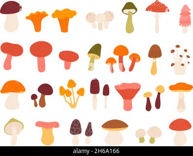 Flache essbare Waldpilze, Trüffel, Pfifferlinge, Steinpilze und Amanita. Natürliche Wildpilze Arten in abstrakten minimalistischen Stil Vektor-Set Stock Vektor