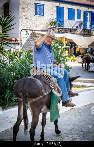 Esel/Maultiere werden als primäres Transportmittel auf Hydra Island verwendet. Stockfoto