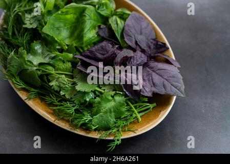 Verschiedene Grüntöne Dill Blätter Spinat Petersilie Koriander auf einem Teller Stockfoto