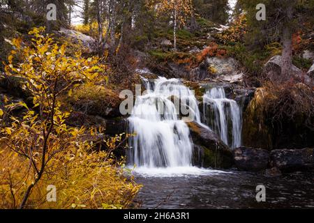 Der wunderschöne Kullaoja-Wasserfall fließt mitten in den Herbstfarben. Erschossen in der Nähe von Salla, Nordfinnland. Stockfoto