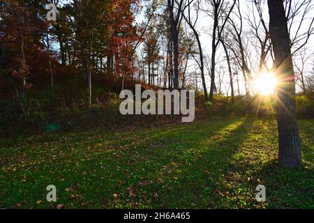 Sunburst durch Bäume erhellt die Herbstfarben im Donald County Park in Dane County WI Stockfoto