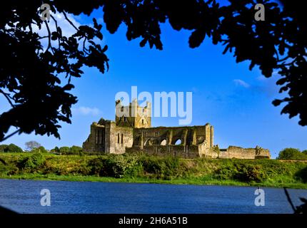 Dunbrody Abbey auf der Halbinsel Hook in der Grafschaft Wexford, Irland Stockfoto