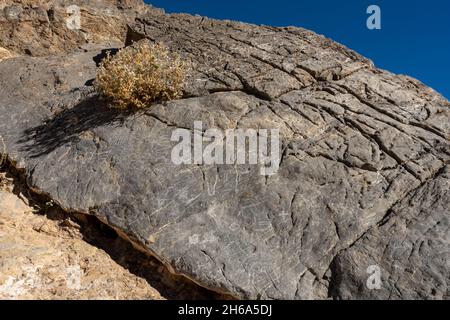 Graffiti und Petroglyphen, die auf Stein im Titus Canyon im Death Valley geschnitzt wurden Stockfoto