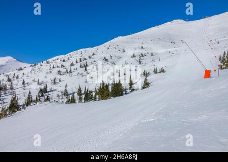 Slowakei. Winter Skigebiet Jasna. Sonniges Wetter und blauer Himmel über einer leeren Skipiste. Seltene Fichten im Schnee am Berghang Stockfoto