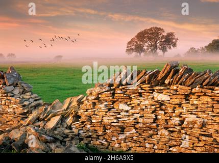 GB - GLOUCESTERSHIRE: Typische Cotswold Szene Stockfoto