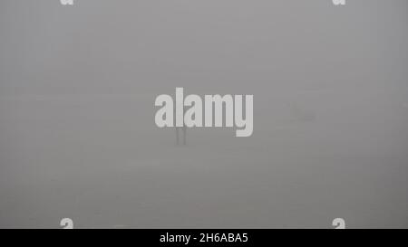 Hochwertiges Bild: Porträt von Street Dog im Winternebel, Blick Eines Street Dog durch den Nebel #Dog #Dogs Stockfoto