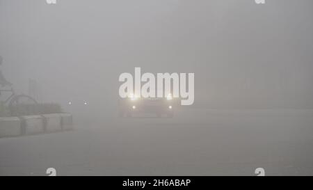 Hochwertiges Bild: Porträt von Street Dog im Winternebel, Blick Eines Street Dog durch den Nebel #Dog #Dogs Stockfoto