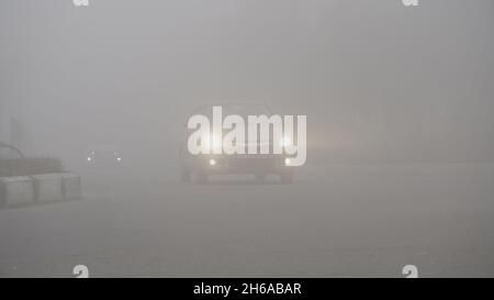 Hochwertiges Bild: Porträt von Street Dog im Winternebel, Blick Eines Street Dog durch den Nebel #Dog #Dogs Stockfoto