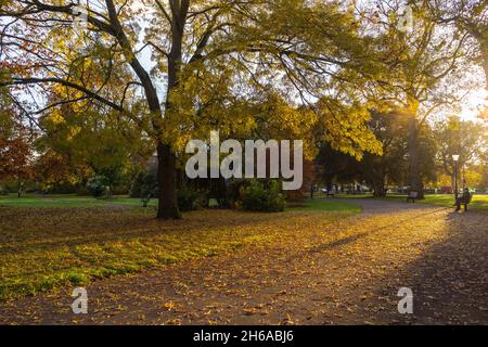 East Park (Andrews Park) bei Herbstsonne, Southampton, Hampshire, England, Großbritannien Stockfoto