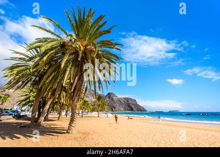 Goldener Strand mit Palmen am Meer und blauem Himmel, Playa de Las Teresitas, Teneriffa Stockfoto