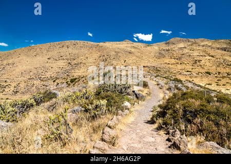 Wanderweg am Colca Canyon in Peru Stockfoto