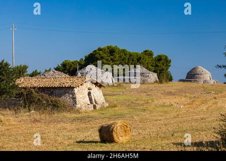 Trulli, typische Häuser in der Nähe von Castel del Monte, Region Apulien, Italien Stockfoto