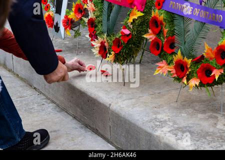 Nach der Zeremonie zum Gedenktag 2021 legen die Menschen ihre Mohnblumen ab und zollen dem Kenotaph ihren Respekt. Cambridge, Ontario, Kanada. Stockfoto