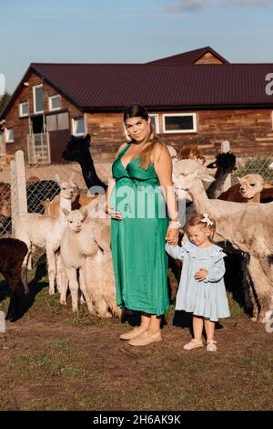 Schöne Schwangere von 26-30 Jahren im grünen Sommerkleid hält kleine Tochter von 3-4 Jahren von Hand, sie stehen in der Nähe ihrer Alpakas Stockfoto