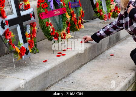 Nach der Zeremonie zum Gedenktag 2021 legen die Menschen ihre Mohnblumen ab und zollen dem Kenotaph ihren Respekt. Cambridge, Ontario, Kanada. Stockfoto