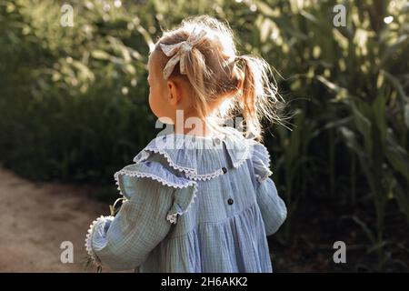 Mädchen in blauem Baumwollkleid 3 Jahre alt geht auf dem Feld. Kinderbekleidung aus natürlichen Materialien. Frohe Kindheit. Agrarindustrie. Einheitlichkeit mit Stockfoto